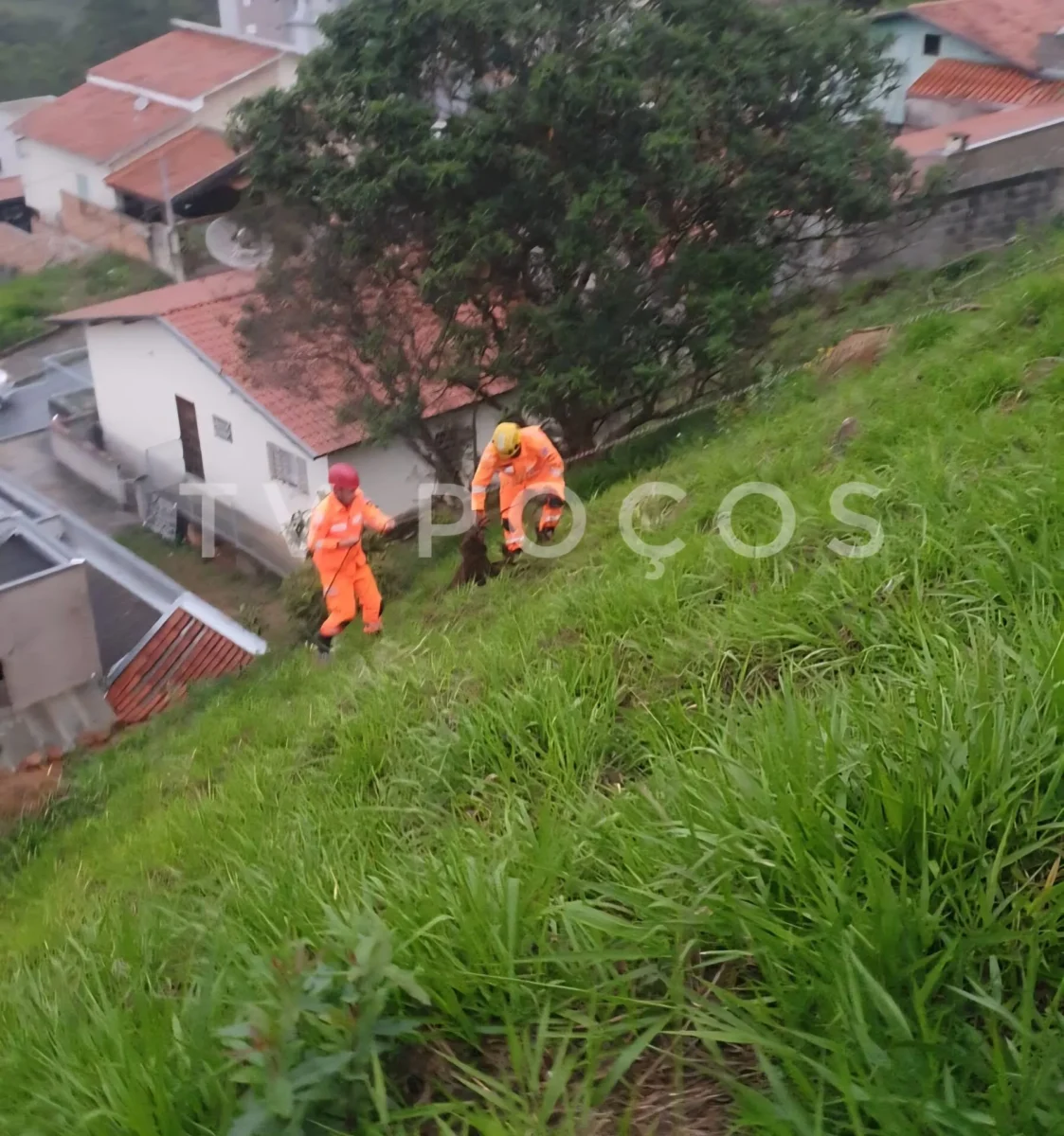 Bombeiros resgatam cães que caíram em barranco no Jardim Vitória