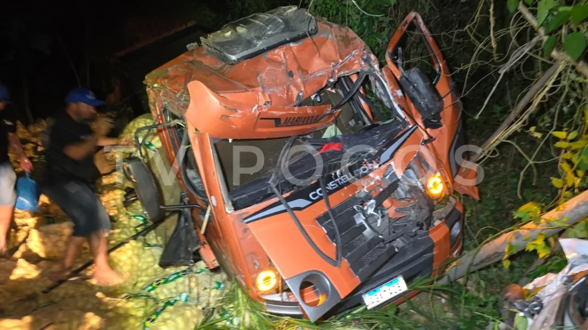 Caminhão perde os freios e tomba na BR-459; dois motoristas ficam feridos