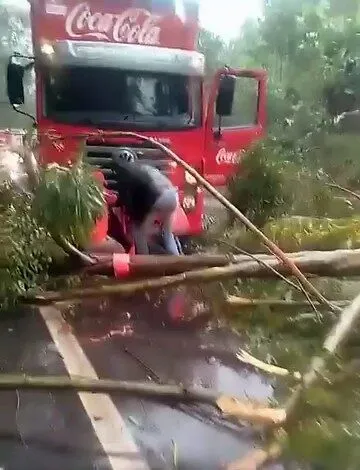 Chuva derruba árvore e interdita parcialmente rodovia entre Andradas e Poços