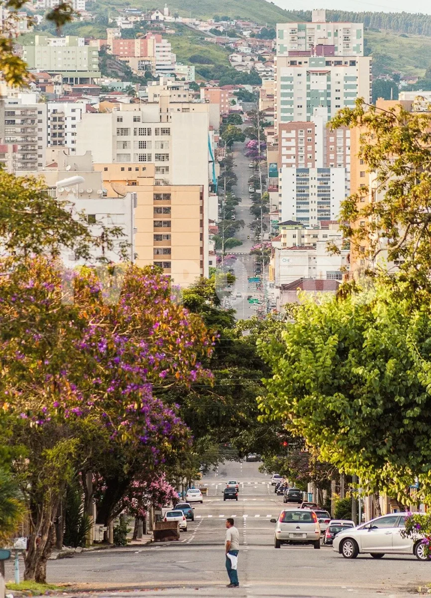 Município institui Conselho Municipal de Mobilidade Urbana